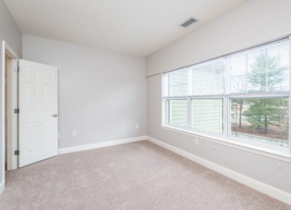 Drum Hill 2 Bedroom Apartment bedroom two with plush carpeting and extra large window