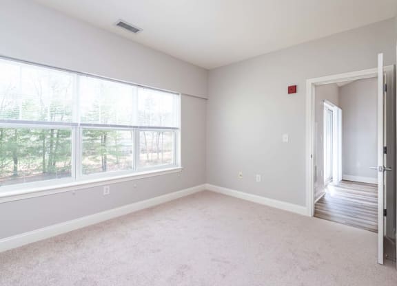 Drum Hill 2 Bedroom Apartment bedroom two with plush carpeting and extra large window
