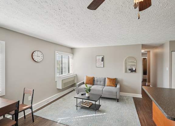 A living room with a grey couch and a blue rug.