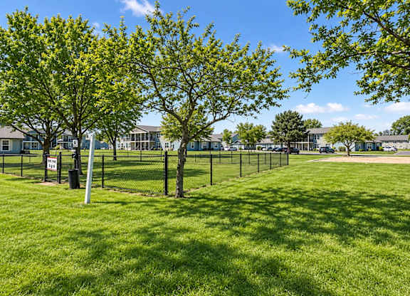 A grassy field with trees and a fence in the background.