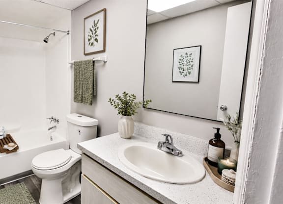 A white toilet sits next to a sink in a bathroom.