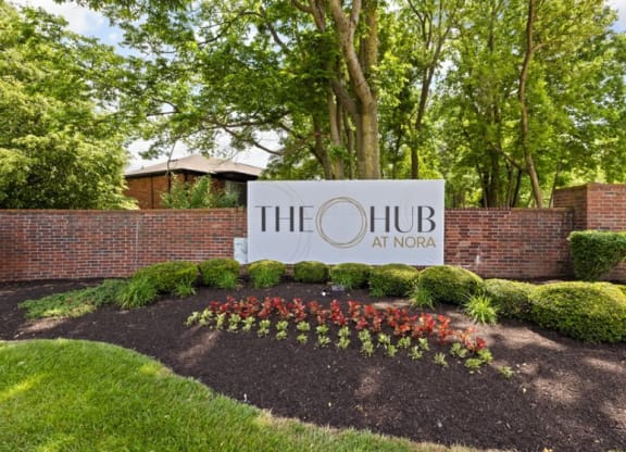 the hub at nova apartment for rent in knoxville, tn