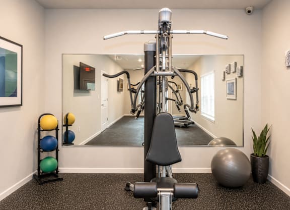 A gym with a black and silver weight machine, a mirror, and a potted plant.