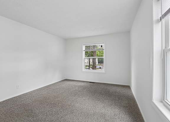 A room with a grey carpet and a window showing a street view.