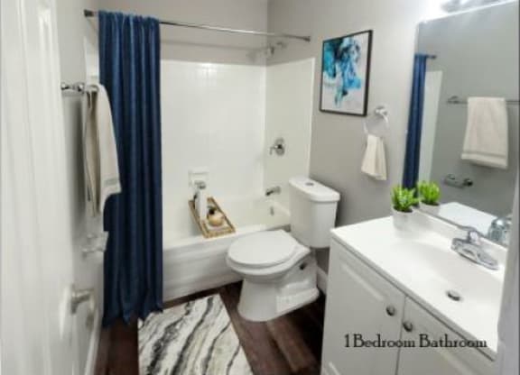 Bathroom with a bathtub, toilet, a large mirror, and sink with white cabinets. 