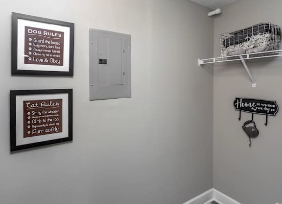 A sign that says Dog Rules is on the wall.