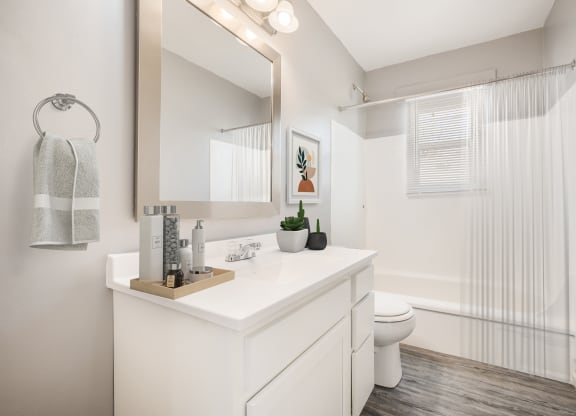 a bathroom with a shower and a sink and a toilet