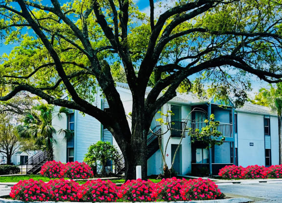 A building with a large tree in front of it at Aqua Bay Apartments in Naples, FL 34116
