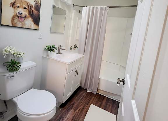 A bathroom with a toilet, sink, and a framed picture of a dog on the wall.