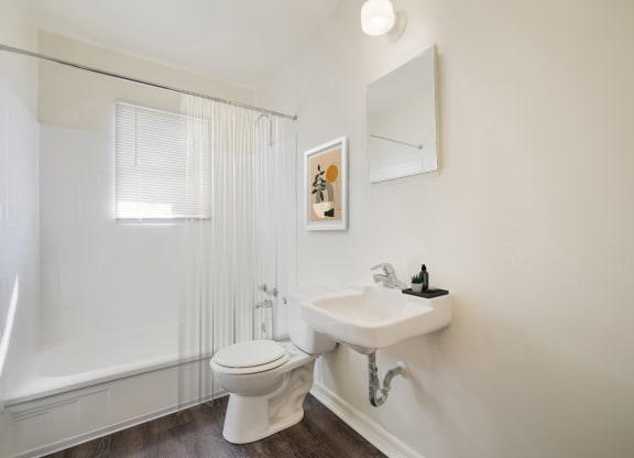 a bathroom with a sink and a toilet and a bath tub