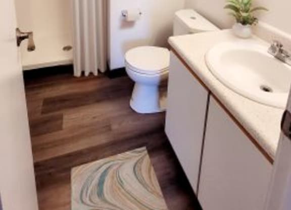 Bathroom with a standing shower, a toilet, a sink with white countertops, and a mirror. 
