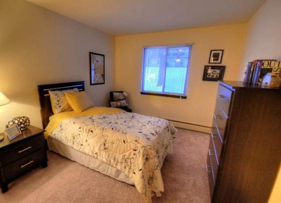 a bedroom with a bed and a dresser and a window