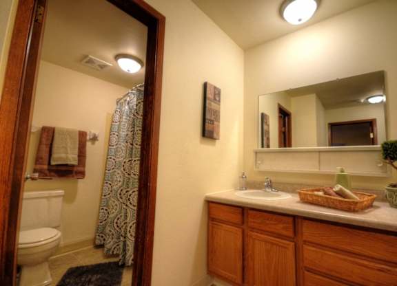 a bathroom with a sink and a toilet and a mirror