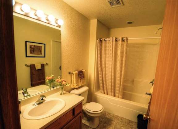 a bathroom with a sink toilet and a shower