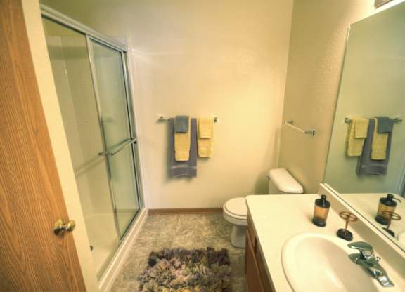 a bathroom with a shower toilet and sink and a mirror