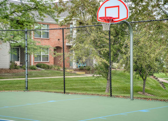 Basketball Court