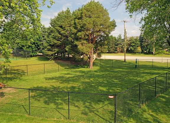 A tree in a yard behind a fence.