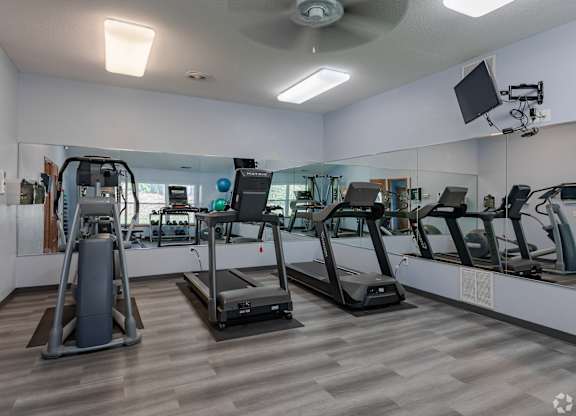 A gym with treadmills, elliptical machines, and a fan.
