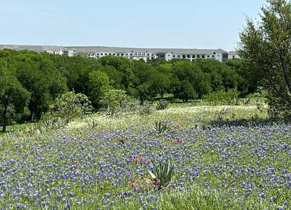a field of flowers and trees with a modera walsh in the background