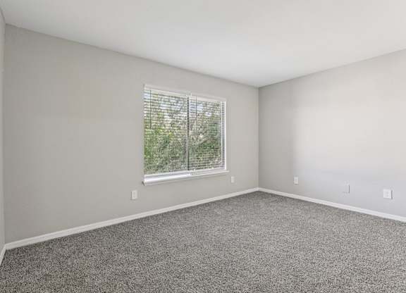 A room with a window and carpeted floor.
