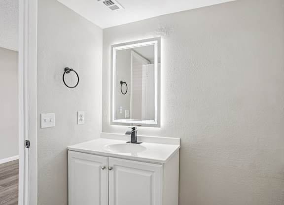 A bathroom with a white sink and a mirror.