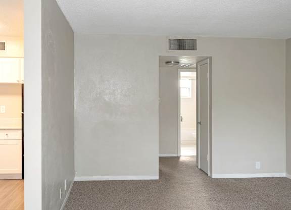 A room with a carpeted floor and a doorway leading to another room.