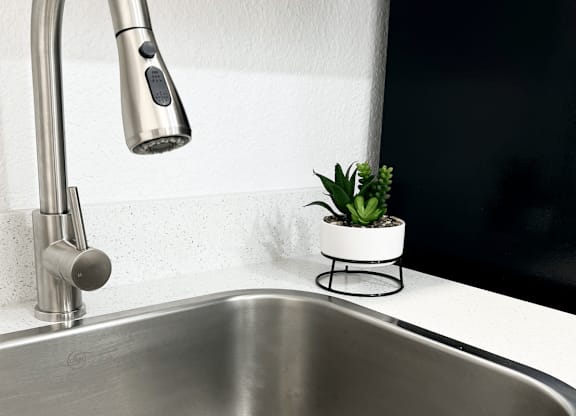 a kitchen sink with a faucet sprayer and a potted plant at Haven on Canal Apartments