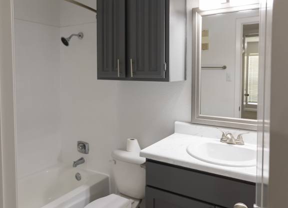 a bathroom with dark cabinets, a sink, toilet, and a bath tub and shower