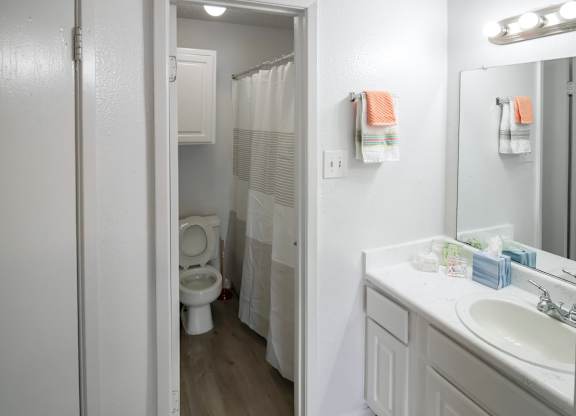 a bathroom with a sink and a toilet and a shower in a Pine Creek apartment home