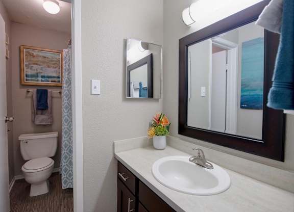 a large bathroom with a sink vanity, mirror with illumination and a water closet with toilet and tub/shower