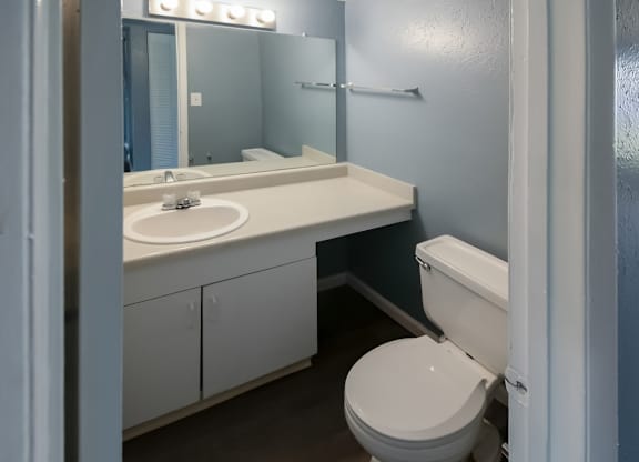 a bathroom with a toilet, sink vanity, and large mirror with a light kit