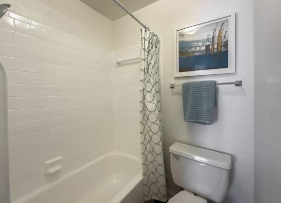 a bathroom with a large tub and shower and a toilet and decor