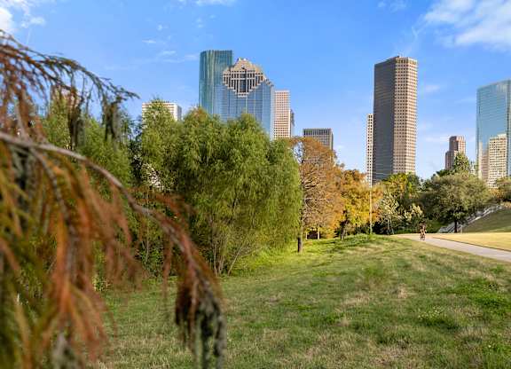 A city skyline is seen through a tree with autumn leaves.