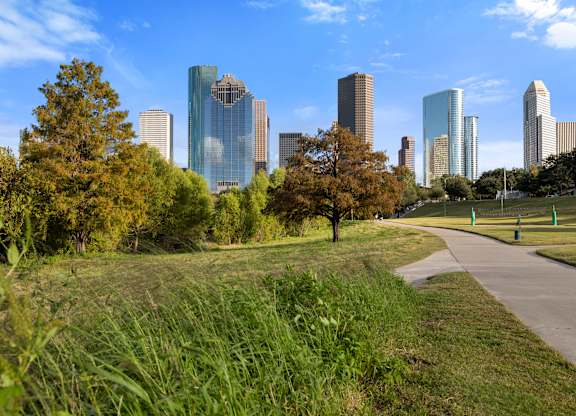 A city skyline is seen through a grassy area.
