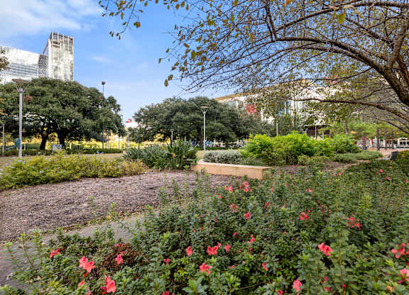 A garden with red flowers in the foreground and a building in the background.