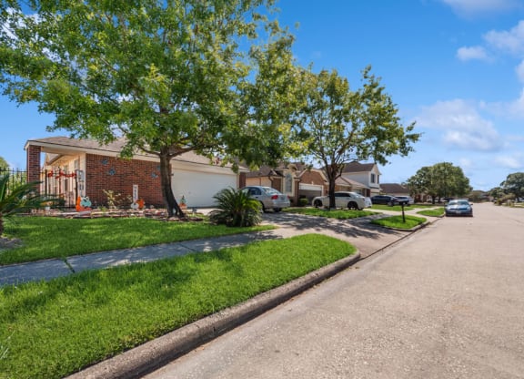 Tree lined street at Sterling Green and Sheldon Ranch in Channelview TX