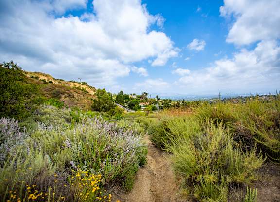 Nearby neighborhood shops at Chroma Apartment Homes in Canoga Park CA