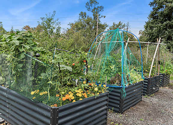 Community garden planters at Woodrose Senior Affordable Apartments in Bellingham WA