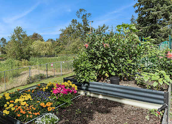 Community garden at Woodrose Senior Affordable Apartments in Bellingham WA