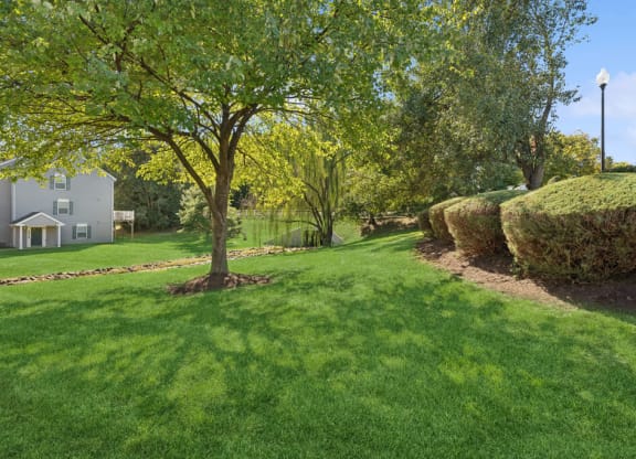 a yard with grass and trees and a house in the background