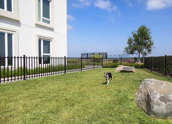 Dog park at Chromatic Flats Apartments in San Diego CA