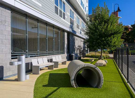 Dog Park at Vero Apartments in Chelsea MA