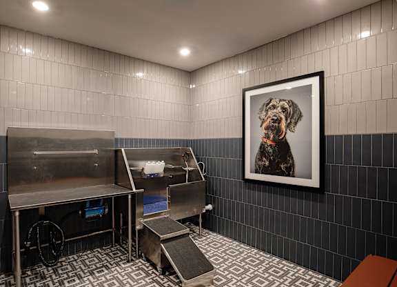 Dog Wash at The Edley in Atlanta GA