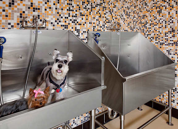 Dog Wash at Westerchester at the Pavillions in Waldorf MD