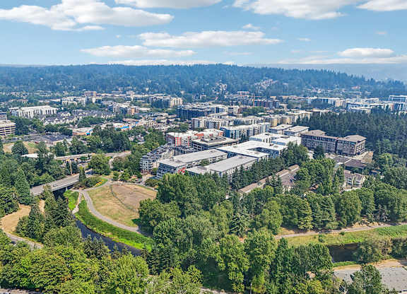 A bird's eye view of a city with buildings and trees.