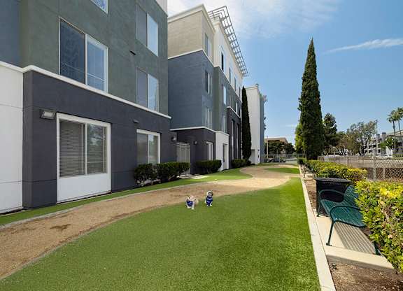 Dog Park at Main and Jamboree Apartments in Irvine CA