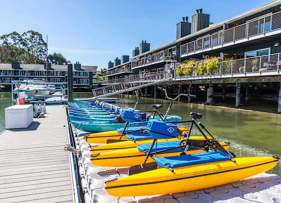 Kayaks and paddle boards at The Cove at Tiburon Apartments in Tiburon CA