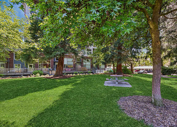 Picnic area at Riverpark Apartments in Redmond WA