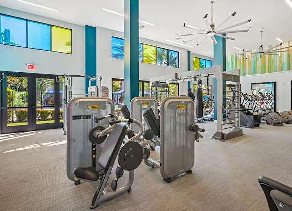 A gym with a variety of equipment including weights and a treadmill.