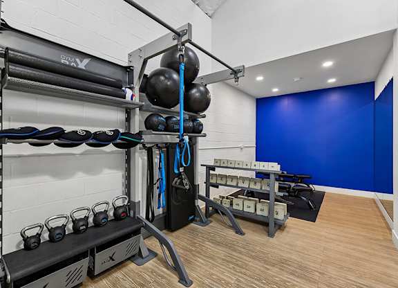 A gym with a bench, weights, and a blue wall.
